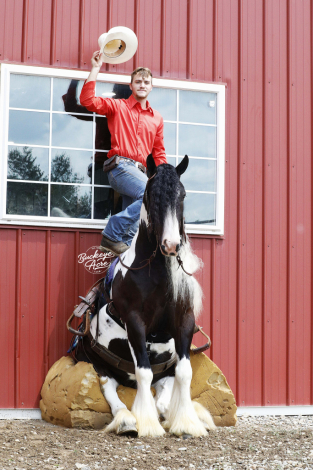 HorseID: 2300396 Troubadours Ace in the Hole - PhotoID: 1081873