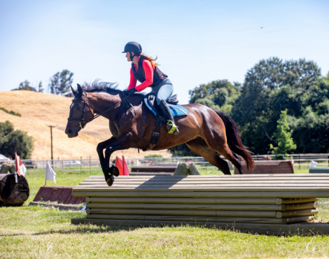 HorseID: 2300415 Street de Claddagh - PhotoID: 1081898