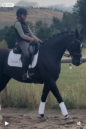 HorseID: 2300460 Once upon a time - PhotoID: 1082101