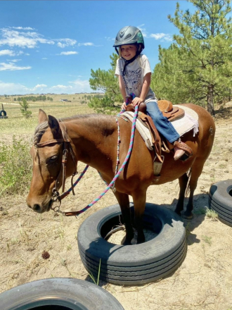 HorseID: 2300491 Belle - PhotoID: 1082601