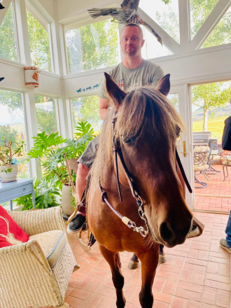 HorseID: 2300491 Belle - PhotoID: 1082602