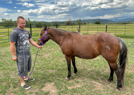 HorseID: 2300491 Belle - PhotoID: 1082603