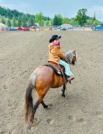 HorseID: 2300491 Belle - PhotoID: 1082604