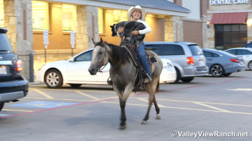 HorseID: 2300534 JD Streakin Chick - PhotoID: 1082055