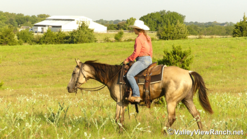 HorseID: 2300534 JD Streakin Chick - PhotoID: 1082057