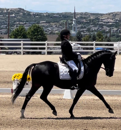 HorseID: 2300618 Traum Junge - PhotoID: 1082210