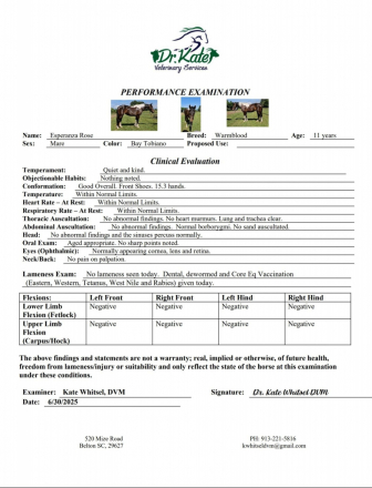 HorseID: 2300670 www.horsesandponies.us - PhotoID: 1082299