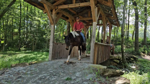 HorseID: 2300670 www.horsesandponies.us - PhotoID: 1082300