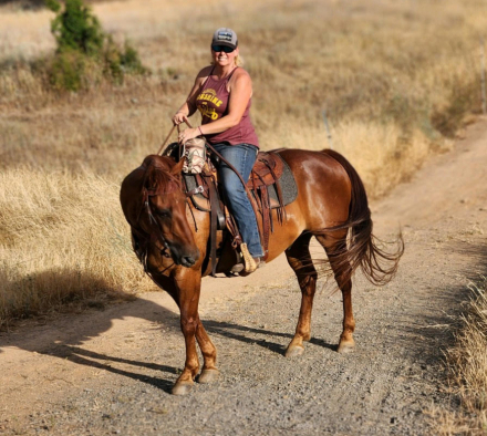 HorseID: 2300703 Big Red - PhotoID: 1082333