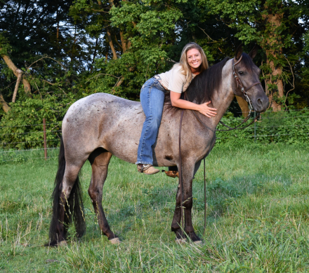 HorseID: 2300737 Dandy's Fancy Girl SS - PhotoID: 1082389