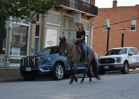 HorseID: 2300737 Dandy's Fancy Girl SS - PhotoID: 1082391