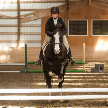 HorseID: 2300808 Sonora - PhotoID: 1082473