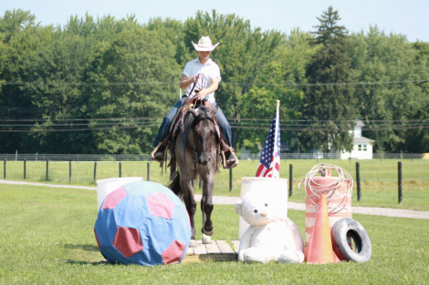 HorseID: 2300908 BONNETS GO GO GIRL - PhotoID: 1082591