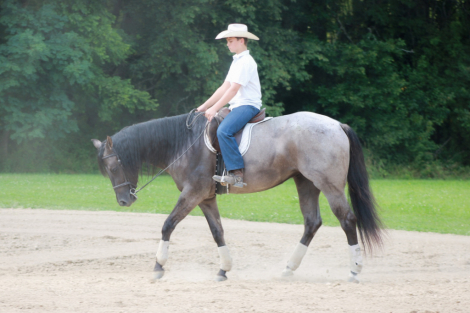 HorseID: 2300908 BONNETS GO GO GIRL - PhotoID: 1082592