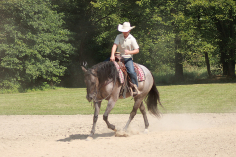 HorseID: 2300908 BONNETS GO GO GIRL - PhotoID: 1082593