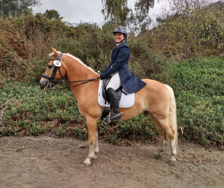 HorseID: 2300957 Seesturm - PhotoID: 1082788