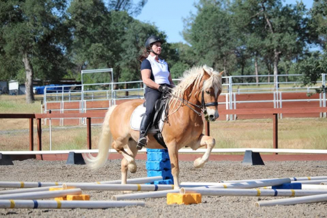 HorseID: 2300957 Seesturm - PhotoID: 1082789