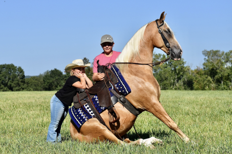 HorseID: 2301080 Spirits Dream Catcher RRR - PhotoID: 1082792