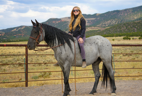 HorseID: 2301081 Elite's He's a Hottie - PhotoID: 1082796