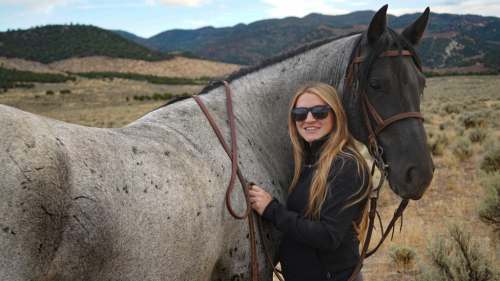 HorseID: 2301081 Elite's He's a Hottie - PhotoID: 1082798