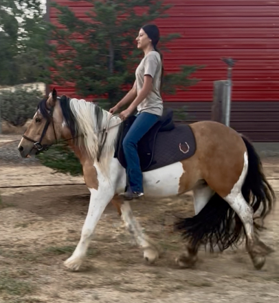 HorseID: 2301144 CCGV Charlotte's True Dream - PhotoID: 1082879