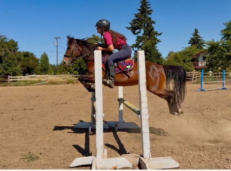 HorseID: 2301192 Avion - PhotoID: 1082962