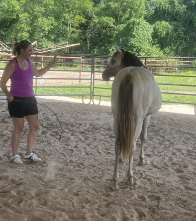 HorseID: 2301194 Classic Betty White - PhotoID: 1082966