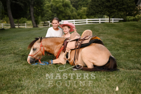 HorseID: 2301198 Watch Video! - PhotoID: 1082970