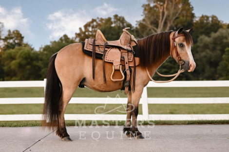 HorseID: 2301198 Watch Video! - PhotoID: 1082971