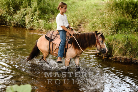 HorseID: 2301198 Watch Video! - PhotoID: 1082972