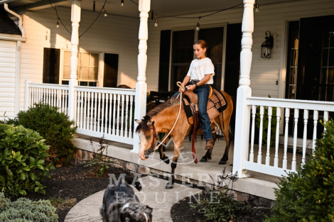 HorseID: 2301198 Watch Video! - PhotoID: 1082973