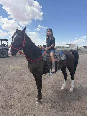 HorseID: 2301201 Dozer - PhotoID: 1082979