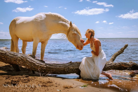 HorseID: 2301219 Whzrd - PhotoID: 1083006