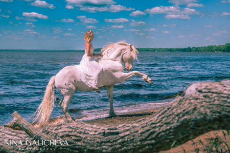 HorseID: 2301219 Whzrd - PhotoID: 1083009