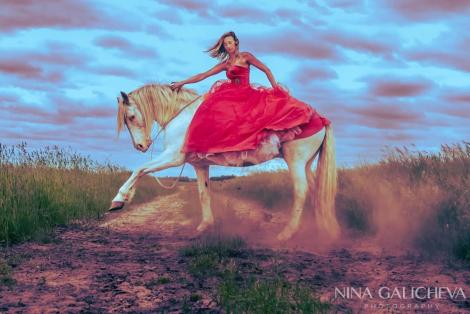 HorseID: 2301219 Whzrd - PhotoID: 1083010