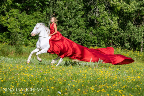 HorseID: 2301219 Whzrd - PhotoID: 1083011