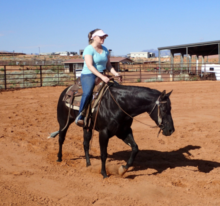 HorseID: 2301226 Misty - PhotoID: 1083146