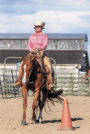 HorseID: 2301234 Hey Amigo - PhotoID: 1083020