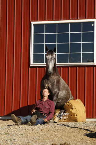 HorseID: 2301280 Straberts Smokey - PhotoID: 1083073