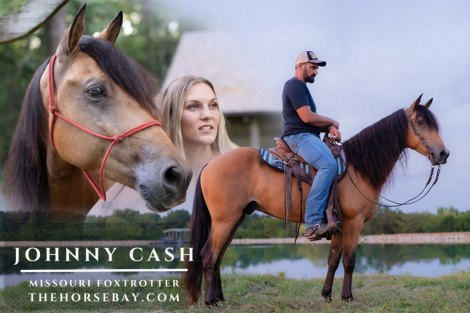 HorseID: 2301283 Johnny Cash - PhotoID: 1083078