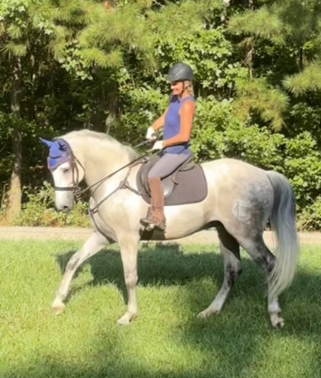 HorseID: 2301284 Tango De Romeo - PhotoID: 1083088