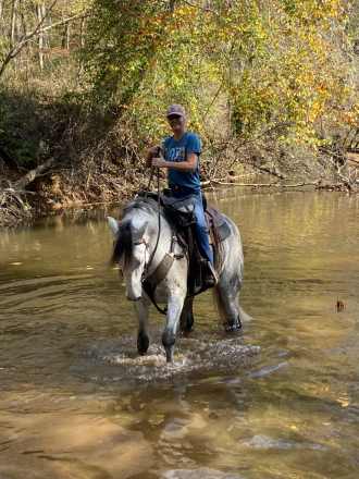 HorseID: 2301284 Tango De Romeo - PhotoID: 1083089