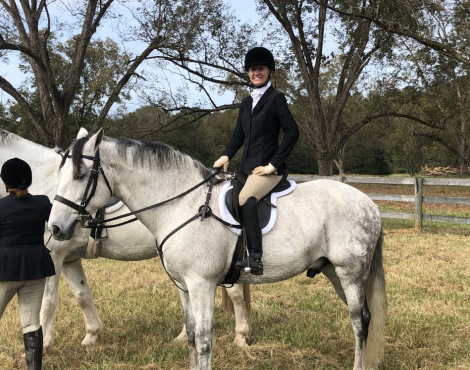 HorseID: 2301284 Tango De Romeo - PhotoID: 1083090