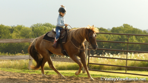 HorseID: 2301304 Berry Smart Chick - PhotoID: 1083119