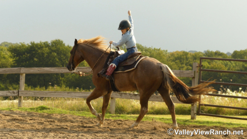 HorseID: 2301304 Berry Smart Chick - PhotoID: 1083121