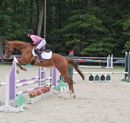 HorseID: 2301308 Golden Effect - PhotoID: 1083134