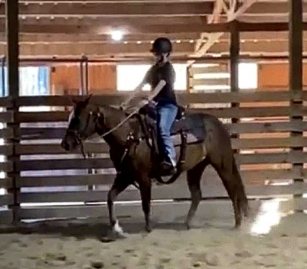 HorseID: 2301309 RN Missnroyaltychex - PhotoID: 1083135