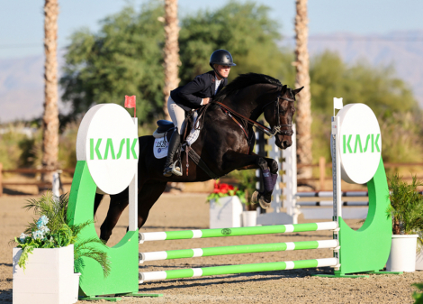 HorseID: 2301310 Storm the Gate - PhotoID: 1083136