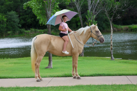 HorseID: 2302128 CANDLELIGHT - PhotoID: 1099644