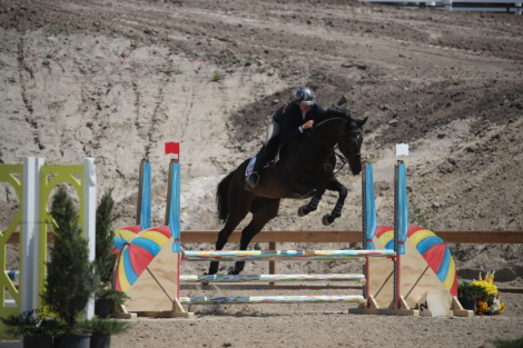HorseID: 2303946 Oh! Kevin - PhotoID: 1105115